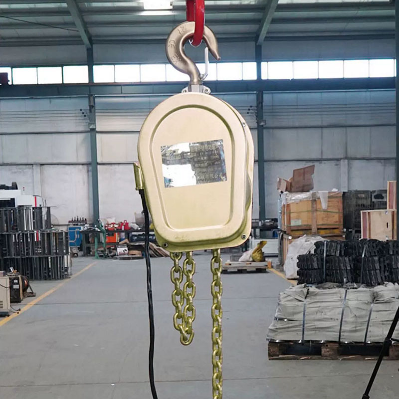 dhby explosion proof electric chain hoist details (1)