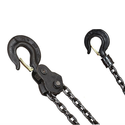 dhs electric chain hoist details (4)